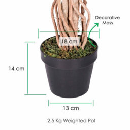 Homescapes Artificial Green Handcrafted Variegated Ficus Tree With Real Wood Trunk, 4 Ft - thumbnail 3