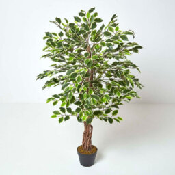 Homescapes Artificial Green Handcrafted Variegated Ficus Tree With Real Wood Trunk, 4 Ft