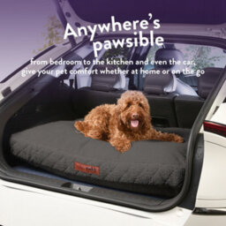 Slumberdown Paws For Slumber Sherpa Pet Bed Cover, Charcoal, Large - thumbnail 6
