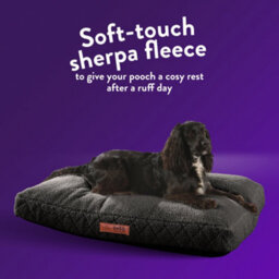 Slumberdown Paws For Slumber Sherpa Pet Bed Cover, Charcoal, Large - thumbnail 2