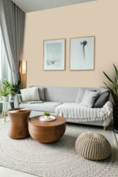 Johnstone's Trade Vinyl Silk Walls & Ceilings Emulsion Paint Warm Blanket (Ppg1078-3) 1L - thumbnail 4