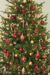Christmas Tree World The 7Ft/210Cm Ultra Mountain Pine Christmas Tree - thumbnail 7