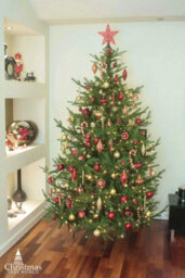 Christmas Tree World The 7Ft/210Cm Ultra Mountain Pine Christmas Tree - thumbnail 8