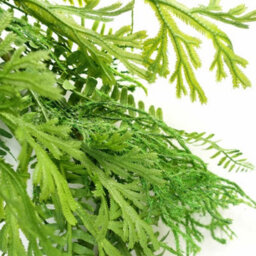 Leaf 140Cm Artificial Trailing Hanging Fern Garland Plant Realistic - thumbnail 2