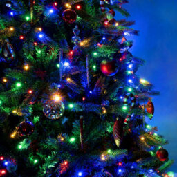 Christmas Tree World The 8Ft/240Cm Ultra Devonshire Fir Pre-Lit With Warm White/multicoloured Colour Change Leds - thumbnail 7