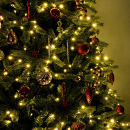 Christmas Tree World The 8Ft/240Cm Ultra Devonshire Fir Pre-Lit With Warm White/multicoloured Colour Change Leds - thumbnail 6