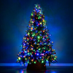 Christmas Tree World The 8Ft/240Cm Ultra Devonshire Fir Pre-Lit With Warm White/multicoloured Colour Change Leds - thumbnail 4