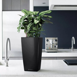 Lechuza Cubico 22 Black High-Gloss Plastic Self-Watering Planter With Substrate And Water Level Indicator H41 L22 W22 Cm - thumbnail 8