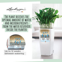 Lechuza Cubico 22 Black High-Gloss Plastic Self-Watering Planter With Substrate And Water Level Indicator H41 L22 W22 Cm - thumbnail 3