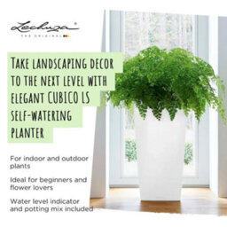 Lechuza Cubico 22 Black High-Gloss Plastic Self-Watering Planter With Substrate And Water Level Indicator H41 L22 W22 Cm - thumbnail 2