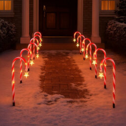Neo Large 42Cm 12 Piece Set Remote Solar Panel Battery Candy Cane Christmas Lights - thumbnail 2