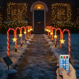 Neo Large 42Cm 12 Piece Set Remote Solar Panel Battery Candy Cane Christmas Lights