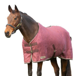 "Stormx Empra Standard-Neck Horse Show Rug Burgundy/cream (5 6"")" - thumbnail 1