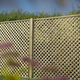 Forest Garden Rosemore Lattice - 180 X 180Cm - Pack Of 4 - thumbnail 1