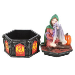 Anne Stokes Dragon Friendship Fall Decorative Box Multicoloured (One Size) - thumbnail 4