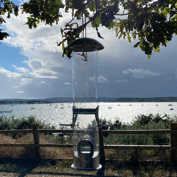 Selections Heavy Duty Aluminium Bird Seed Feeders With 4 Feeding Ports (Set Of 4) - thumbnail 2