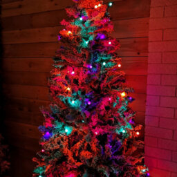 Samuel Alexander 10M 100 Led Pearl Berry Rainbow String Lights Garden Christmas Lights With Timer - thumbnail 4