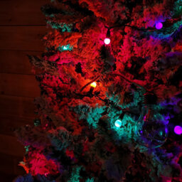 Samuel Alexander 10M 100 Led Pearl Berry Rainbow String Lights Garden Christmas Lights With Timer - thumbnail 9