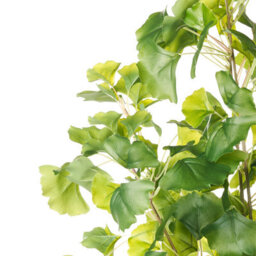 Wyld And Coco 150Cm Artificial Potted Plant Green - Maintenance-Free Decorative Tree For Indoor Living Rooms, Offices And Hallways - thumbnail 5