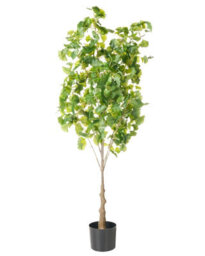 Wyld And Coco 150Cm Artificial Potted Plant Green - Maintenance-Free Decorative Tree For Indoor Living Rooms, Offices And Hallways - thumbnail 1