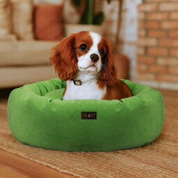 Skylos Dog Bed Donut Soft Large Cat Beds Calming Pet Anti Anxiety Washable - thumbnail 1