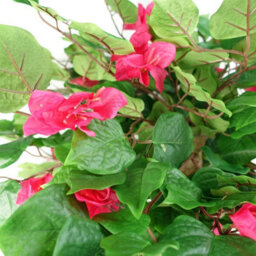 Leaf 150Cm Japanese Artificial Silk Bougainvillea Tree - thumbnail 2
