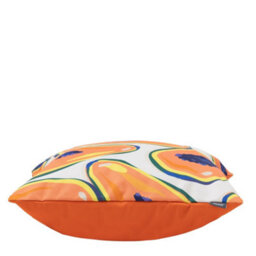 icon Indoor And Outdoor Papaya Fruit Pirnt With Orange Back Set Of 4 Waterproof Filled Cushion - thumbnail 4