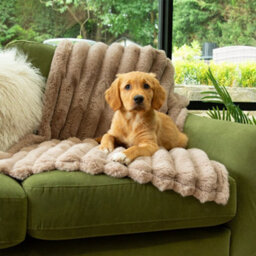 Scruffs Taupe Faux Fur Pet Blanket - thumbnail 4