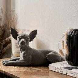 Animal Crackers Laying Chihuahua Dog Figurine Grey Velvet Ornament - thumbnail 6