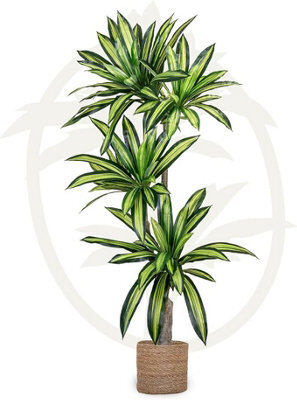 Artificial Plant Dracaena, Maia Shop For Home And Office Decoration, 170Cm - image 1