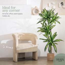 Artificial Plant Dracaena, Maia Shop For Home And Office Decoration, 170Cm - thumbnail 5