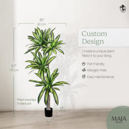 Artificial Plant Dracaena, Maia Shop For Home And Office Decoration, 170Cm - thumbnail 4