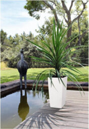 Lechuza Cubico 40 White High-Gloss Plastic Self-Watering Planter With Substrate And Water Level Indicator H75 L40 W40 Cm - thumbnail 8