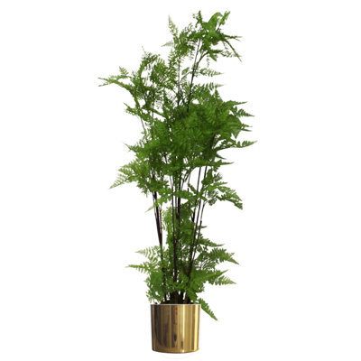 Leaf Artificial 150Cm Natural Moss Base Fern Foliage Plant With Gold Metal Planter - image 1