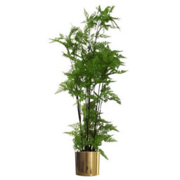 Leaf Artificial 150Cm Natural Moss Base Fern Foliage Plant With Gold Metal Planter - thumbnail 1