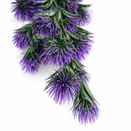 Leaf Pack Of 6 X 75Cm Artificial Purple Thistle Trailing Hanging Plant Faux Floral - thumbnail 2