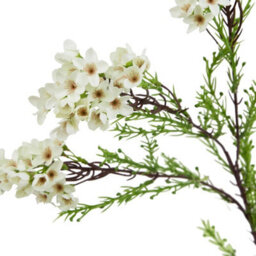 Hill Interiors The Natural Garden Collection Waxflower Artificial Flower White/green (One Size) - thumbnail 3
