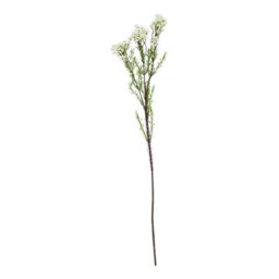 Hill Interiors The Natural Garden Collection Waxflower Artificial Flower White/green (One Size) - thumbnail 2