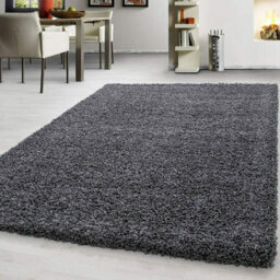 Prime Plus Thick 5Cm Pile Soft Shaggy Rugs Modern Area Rugs Bedroom Hall Rugs (Dark Grey, 80 X 150Cm) - thumbnail 1