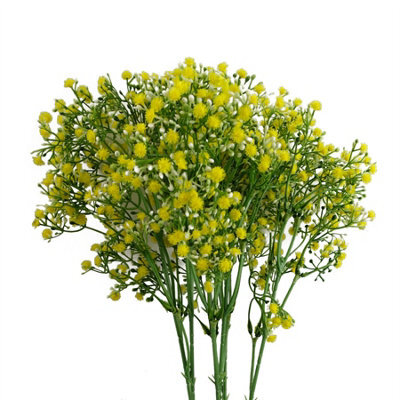 Leaf Pack Of 6 X 55Cm Gypsophila Yellow Stem - image 1