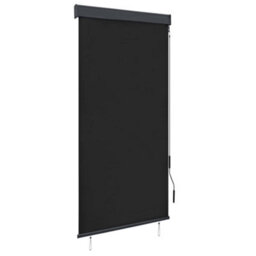 Walplus Anthracite Outdoor Roller Blind 100X250 Cm - Patio Garden Terrace Shade - thumbnail 1