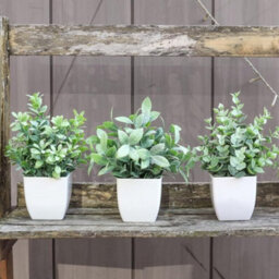 CLEFFNS Home Decoration 4Pcs Simulation Bonsai, Artificial Greenery Potted Plants, Fake Plant For Farmhouse Bedroom Bathroom Home Decor - thumbnail 8
