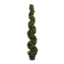 Best Artificial 5Ft - 150Cm Green Boxwood Spiral Topiary Tree - Suitable For Outdoor Use - Weather & Fade Resistant - thumbnail 5