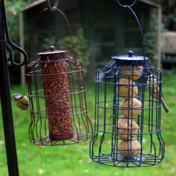 Actiasgear Metal Hanging Wild Bird Feeder - 3Pcs Seed, Nut And Fat Ball Squirrel Proof - thumbnail 7