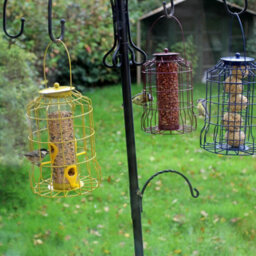 Actiasgear Metal Hanging Wild Bird Feeder - 3Pcs Seed, Nut And Fat Ball Squirrel Proof - thumbnail 8