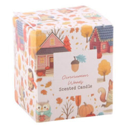 Cinnamon Woods Scented Glass Candle Cosy Autumn Home Fragrance - thumbnail 3