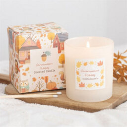 Cinnamon Woods Scented Glass Candle Cosy Autumn Home Fragrance - thumbnail 1