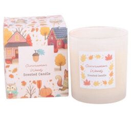 Cinnamon Woods Scented Glass Candle Cosy Autumn Home Fragrance - thumbnail 2