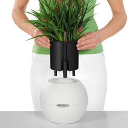 (Dia) 12Cm Small Plant Pot, Sand Brown Plastic Self-Watering Planter With Water Level Indicator Lechuza Puro Color W20 H16 Cm - thumbnail 5