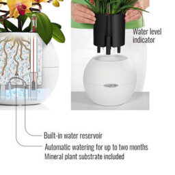 (Dia) 12Cm Small Plant Pot, Sand Brown Plastic Self-Watering Planter With Water Level Indicator Lechuza Puro Color W20 H16 Cm - thumbnail 2